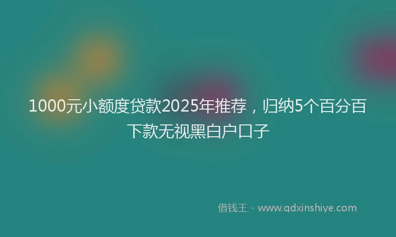 1000元小额度贷款2025年推荐，归纳5个百分百下款无视黑白户口子