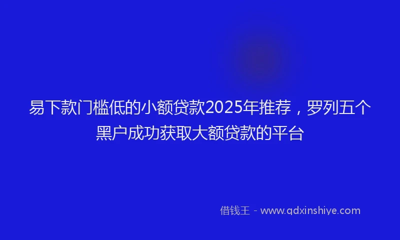 易下款门槛低的小额贷款2025年推荐，罗列五个黑户成功获取大额贷款的平台