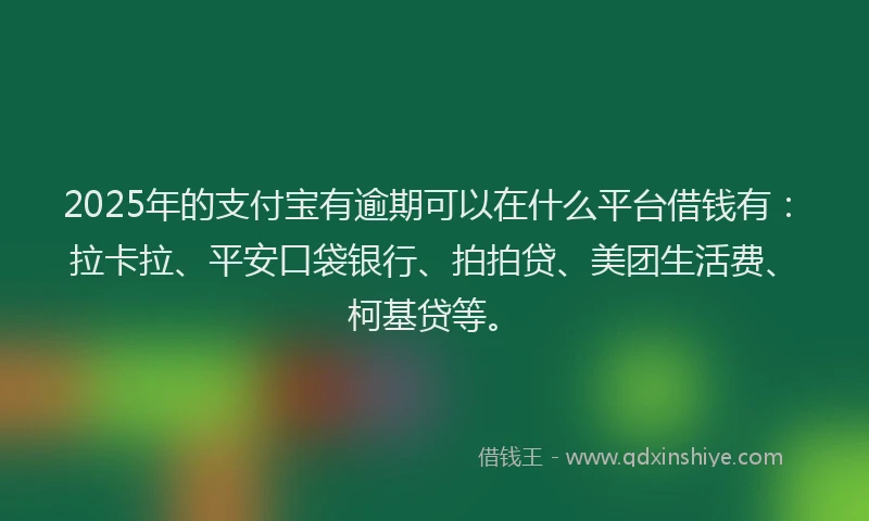 2025年的支付宝有逾期可以在什么平台借钱有：拉卡拉、平安口袋银行、拍拍贷、美团生活费、柯基贷等。