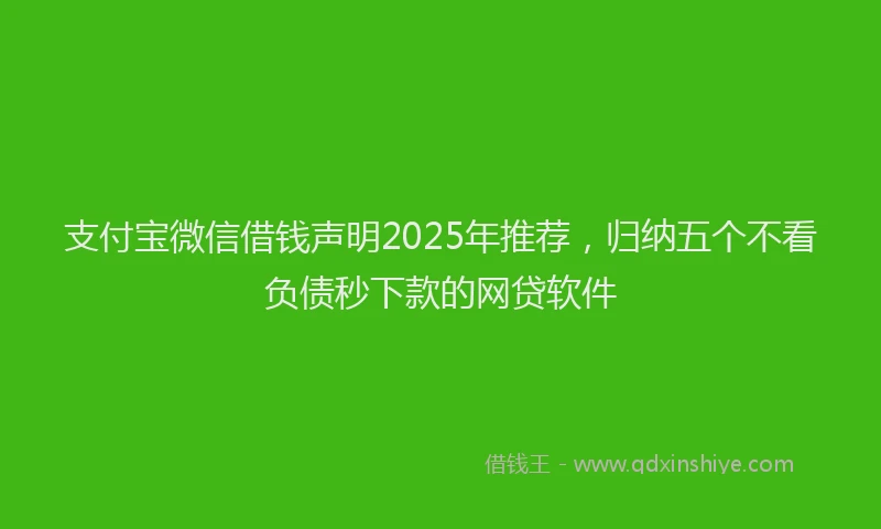 支付宝微信借钱声明2025年推荐，归纳五个不看负债秒下款的网贷软件