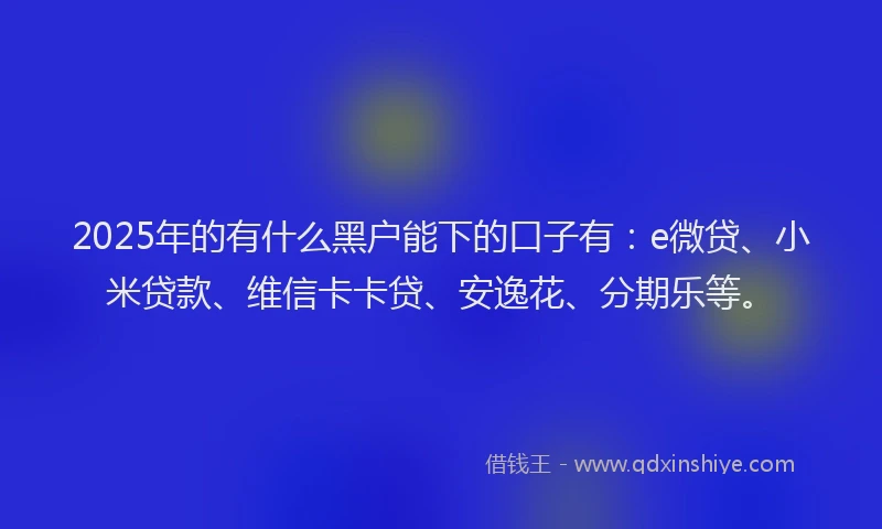 2025年的有什么黑户能下的口子有：e微贷、小米贷款、维信卡卡贷、安逸花、分期乐等。