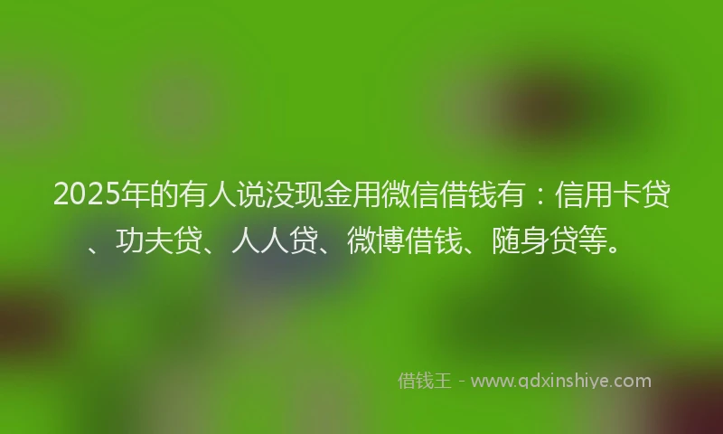 2025年的有人说没现金用微信借钱有：信用卡贷、功夫贷、人人贷、微博借钱、随身贷等。