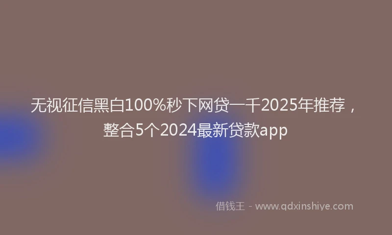 无视征信黑白100%秒下网贷一千2025年推荐，整合5个2024最新贷款app