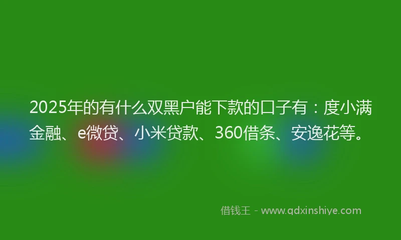 2025年的有什么双黑户能下款的口子有：度小满金融、e微贷、小米贷款、360借条、安逸花等。