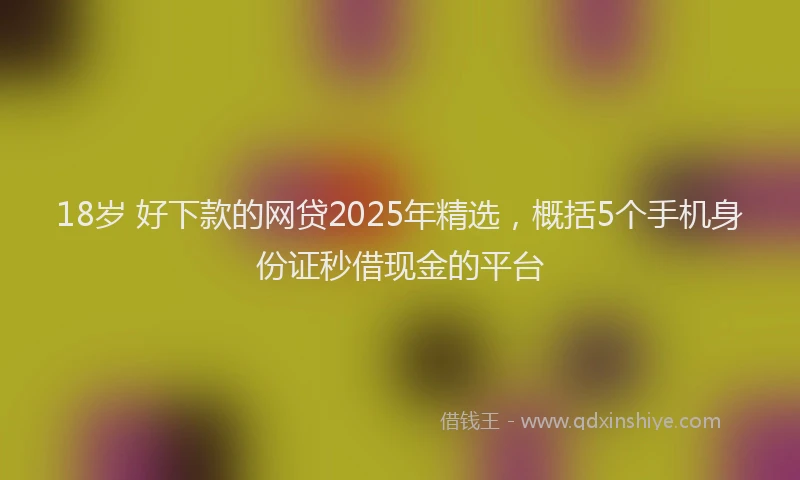 18岁 好下款的网贷2025年精选，概括5个手机身份证秒借现金的平台