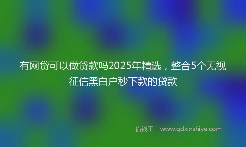 有网贷可以做贷款吗2025年精选，整合5个无视征信黑白户秒下款的贷款