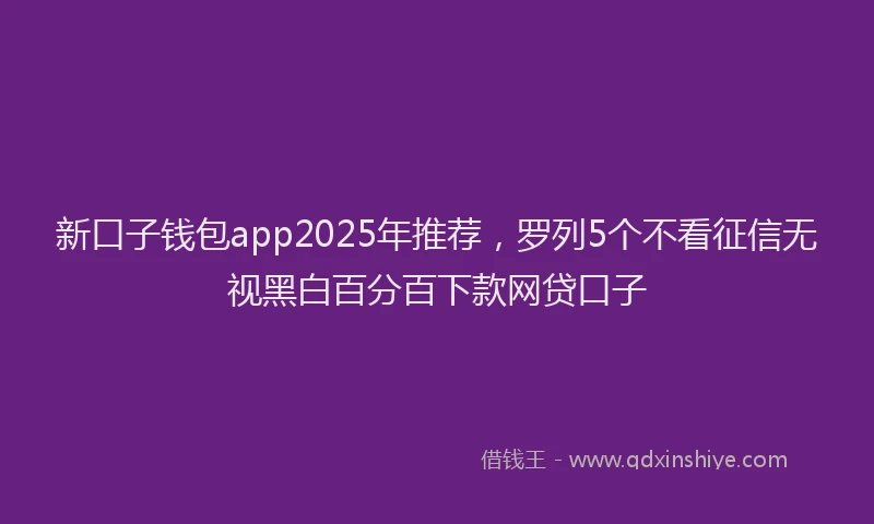 新口子钱包app2025年推荐，罗列5个不看征信无视黑白百分百下款网贷口子