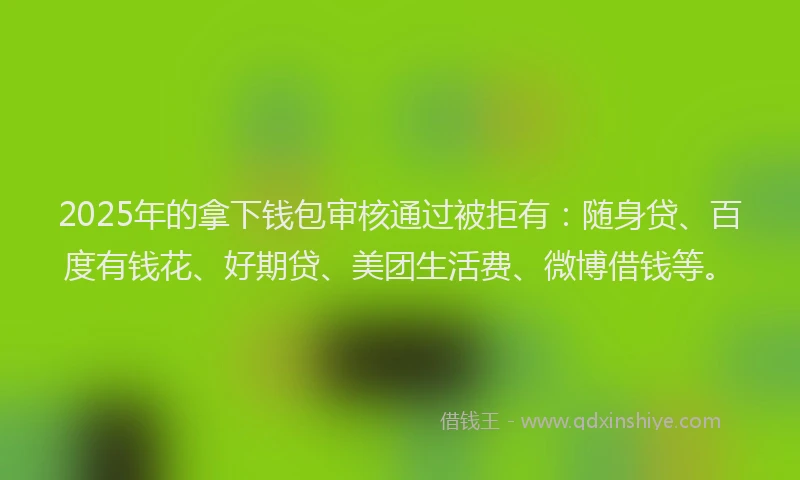 2025年的拿下钱包审核通过被拒有：随身贷、百度有钱花、好期贷、美团生活费、微博借钱等。