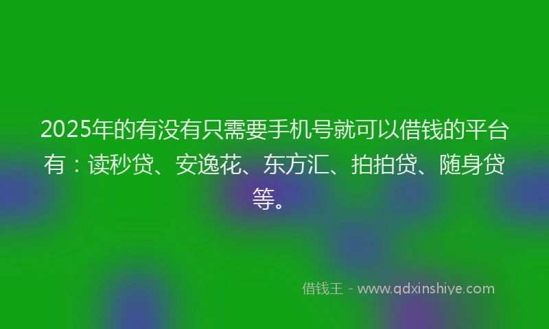 2025年的有没有只需要手机号就可以借钱的平台有：读秒贷、安逸花、东方汇、拍拍贷、随身贷等。