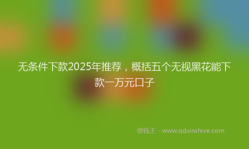 无条件下款2025年推荐，概括五个无视黑花能下款一万元口子