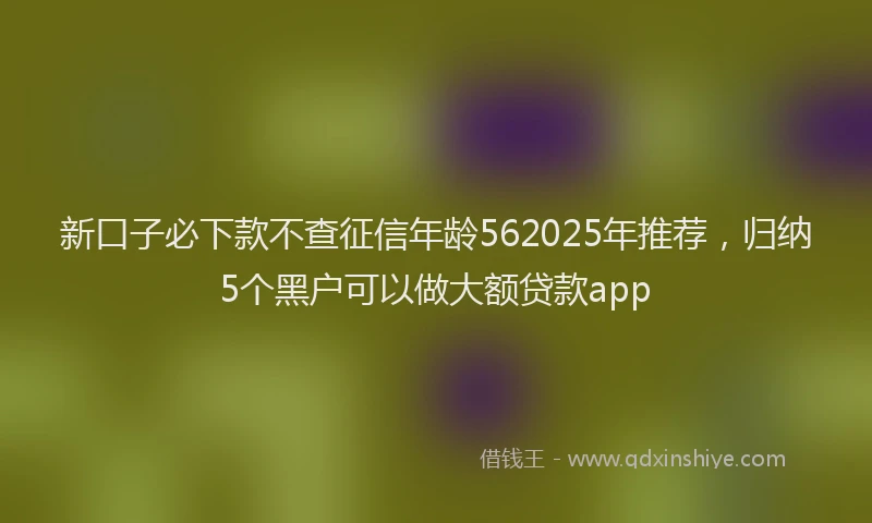 新口子必下款不查征信年龄562025年推荐，归纳5个黑户可以做大额贷款app