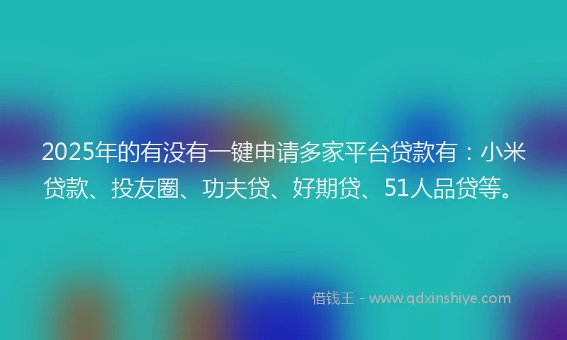 2025年的有没有一键申请多家平台贷款有：小米贷款、投友圈、功夫贷、好期贷、51人品贷等。