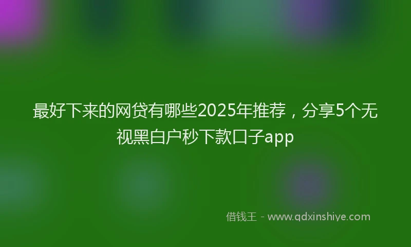 最好下来的网贷有哪些2025年推荐，分享5个无视黑白户秒下款口子app