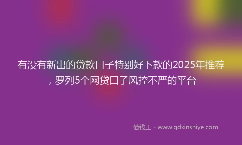 有没有新出的贷款口子特别好下款的2025年推荐，罗列5个网贷口子风控不严的平台