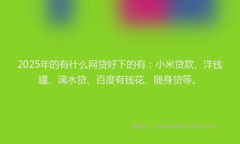 2025年的有什么网贷好下的有：小米贷款、洋钱罐、滴水贷、百度有钱花、随身贷等。