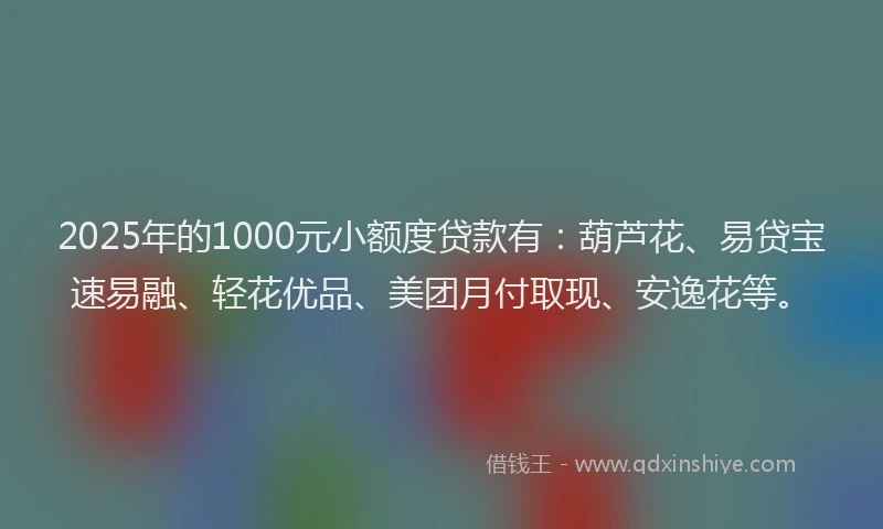 2025年的1000元小额度贷款有：葫芦花、易贷宝速易融、轻花优品、美团月付取现、安逸花等。