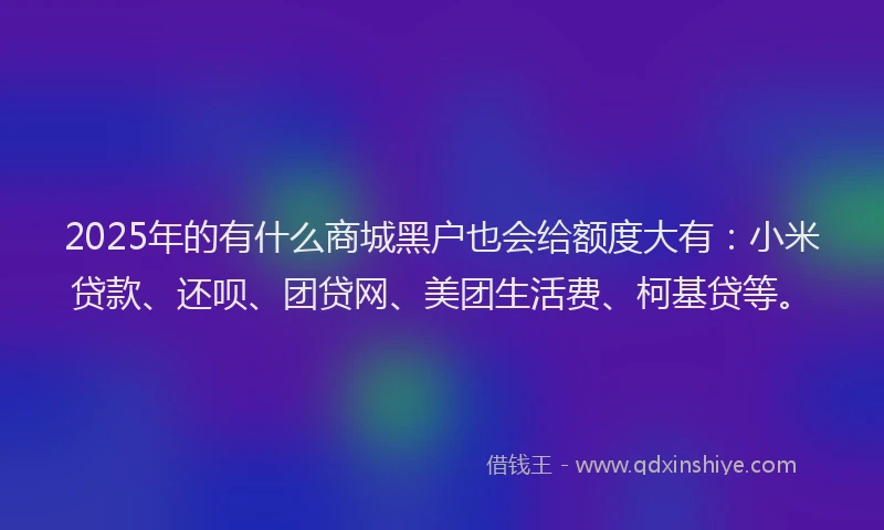 2025年的有什么商城黑户也会给额度大有：小米贷款、还呗、团贷网、美团生活费、柯基贷等。