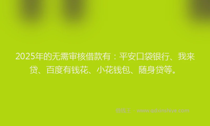 2025年的无需审核借款有：平安口袋银行、我来贷、百度有钱花、小花钱包、随身贷等。