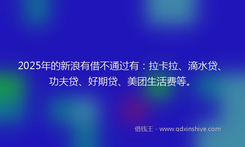 2025年的新浪有借不通过有：拉卡拉、滴水贷、功夫贷、好期贷、美团生活费等。