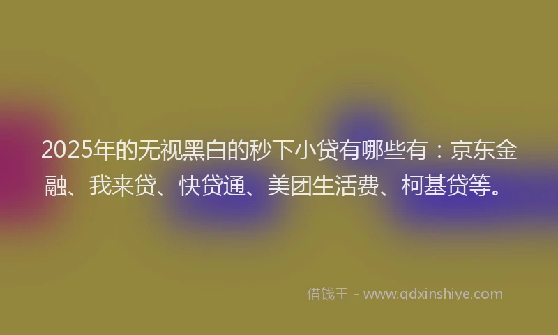 2025年的无视黑白的秒下小贷有哪些有：京东金融、我来贷、快贷通、美团生活费、柯基贷等。