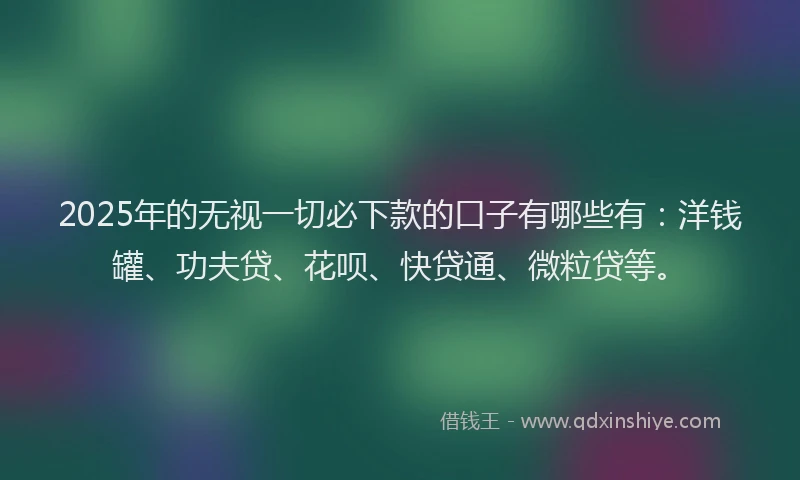 2025年的无视一切必下款的口子有哪些有：洋钱罐、功夫贷、花呗、快贷通、微粒贷等。