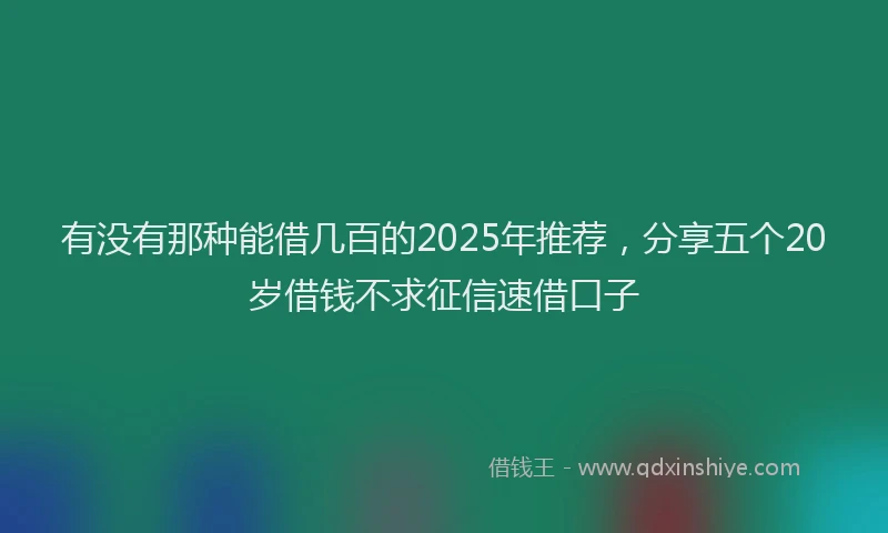 有没有那种能借几百的2025年推荐，分享五个20岁借钱不求征信速借口子