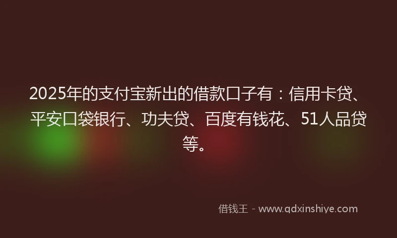2025年的支付宝新出的借款口子有：信用卡贷、平安口袋银行、功夫贷、百度有钱花、51人品贷等。