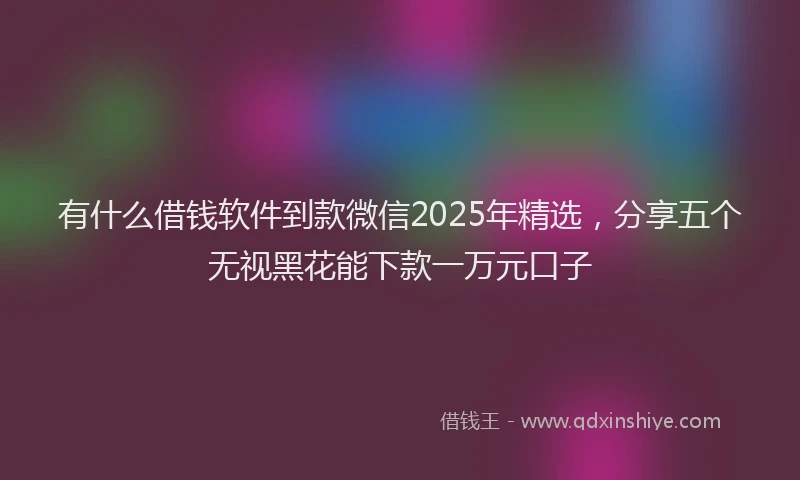 有什么借钱软件到款微信2025年精选，分享五个无视黑花能下款一万元口子