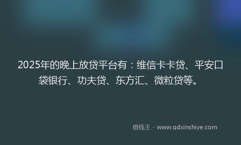 2025年的晚上放贷平台有：维信卡卡贷、平安口袋银行、功夫贷、东方汇、微粒贷等。