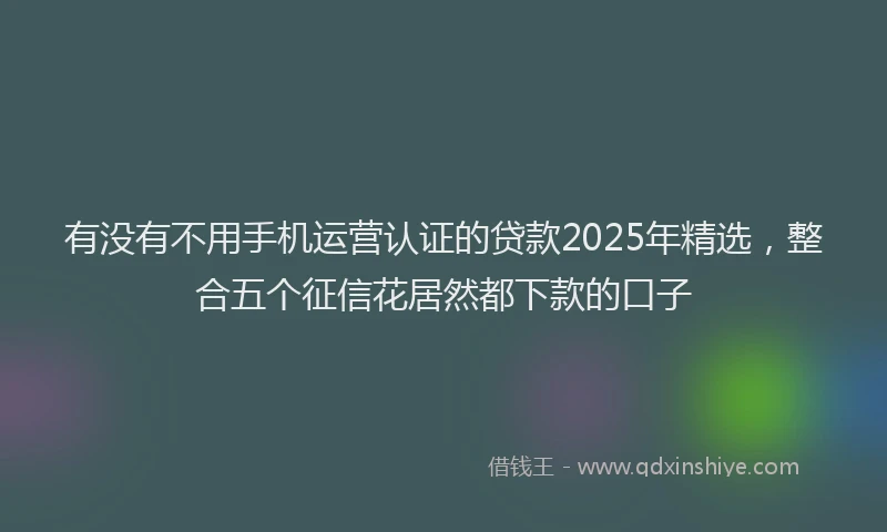 有没有不用手机运营认证的贷款2025年精选，整合五个征信花居然都下款的口子