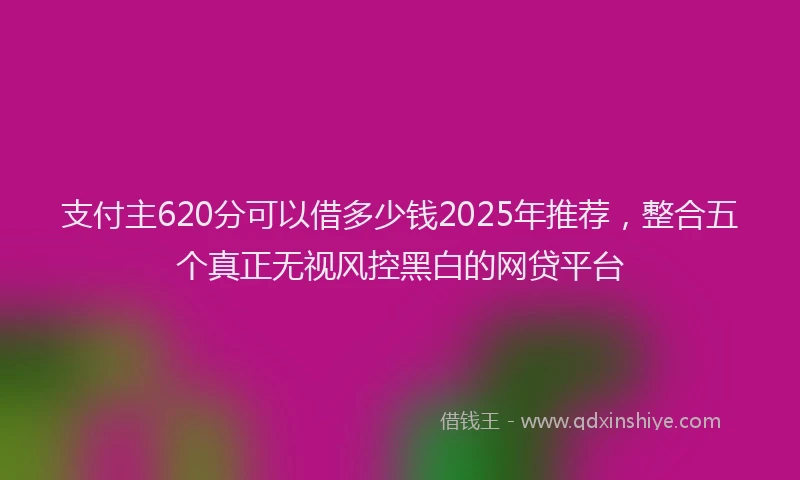 支付主620分可以借多少钱2025年推荐，整合五个真正无视风控黑白的网贷平台