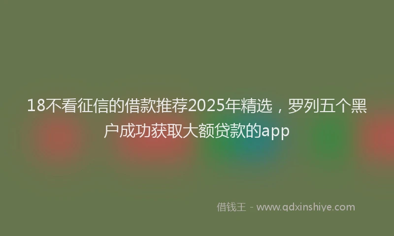 18不看征信的借款推荐2025年精选，罗列五个黑户成功获取大额贷款的app