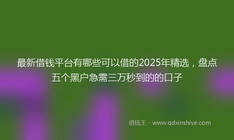 最新借钱平台有哪些可以借的2025年精选，盘点五个黑户急需三万秒到的的口子