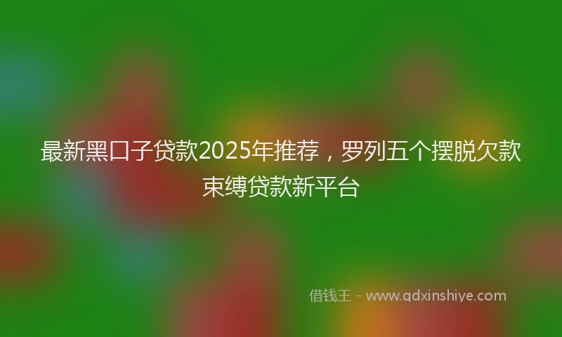 最新黑口子贷款2025年推荐，罗列五个摆脱欠款束缚贷款新平台