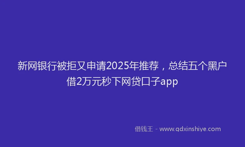 新网银行被拒又申请2025年推荐，总结五个黑户借2万元秒下网贷口子app