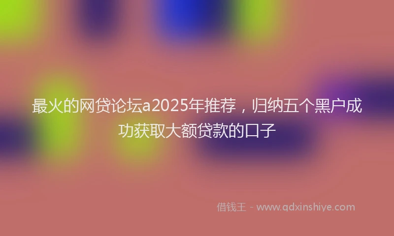 最火的网贷论坛a2025年推荐，归纳五个黑户成功获取大额贷款的口子