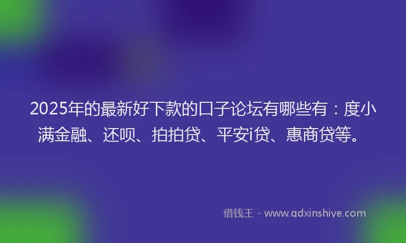 2025年的最新好下款的口子论坛有哪些有：度小满金融、还呗、拍拍贷、平安i贷、惠商贷等。