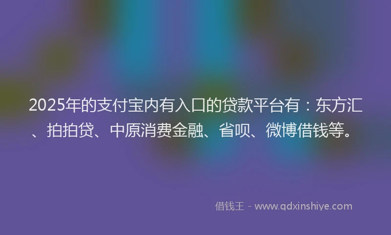 2025年的支付宝内有入口的贷款平台有：东方汇、拍拍贷、中原消费金融、省呗、微博借钱等。