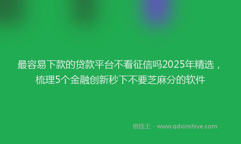 最容易下款的贷款平台不看征信吗2025年精选，梳理5个金融创新秒下不要芝麻分的软件