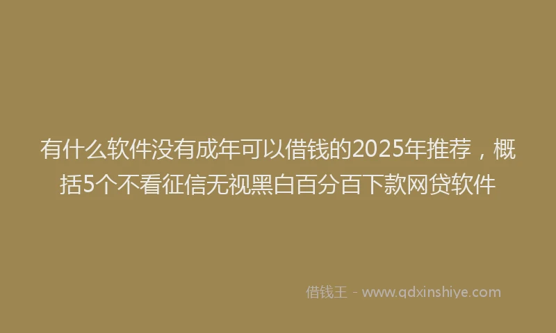 有什么软件没有成年可以借钱的2025年推荐，概括5个不看征信无视黑白百分百下款网贷软件