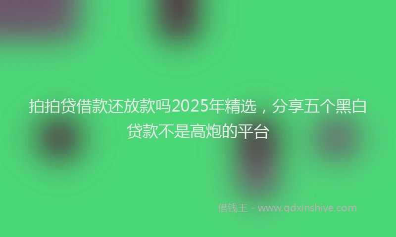 拍拍贷借款还放款吗2025年精选，分享五个黑白贷款不是高炮的平台