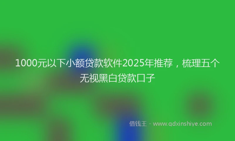1000元以下小额贷款软件2025年推荐，梳理五个无视黑白贷款口子