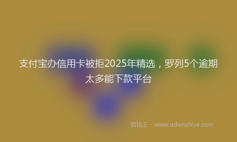 支付宝办信用卡被拒2025年精选，罗列5个逾期太多能下款平台