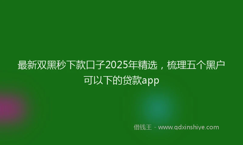 最新双黑秒下款口子2025年精选，梳理五个黑户可以下的贷款app