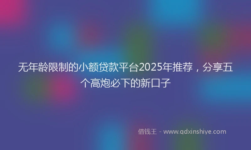 无年龄限制的小额贷款平台2025年推荐，分享五个高炮必下的新口子