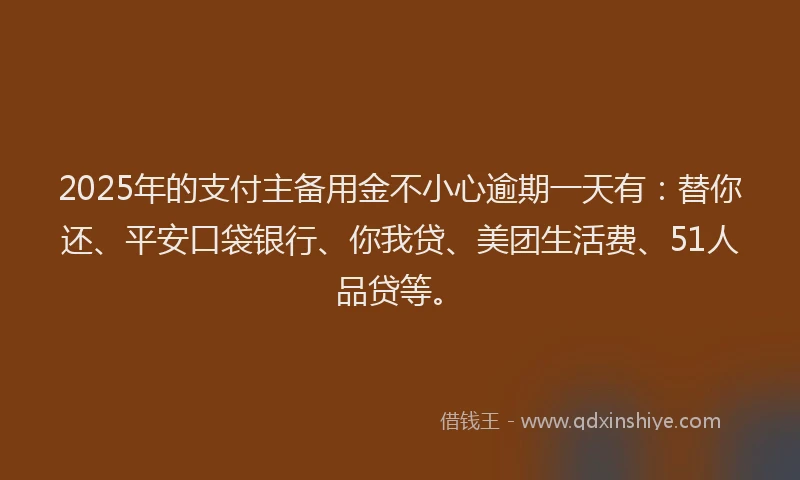 2025年的支付主备用金不小心逾期一天有：替你还、平安口袋银行、你我贷、美团生活费、51人品贷等。