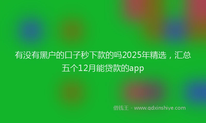 有没有黑户的口子秒下款的吗2025年精选，汇总五个12月能贷款的app