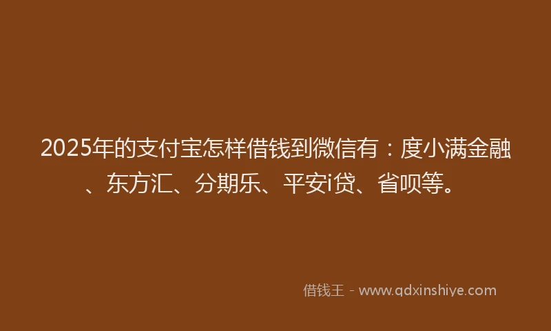 2025年的支付宝怎样借钱到微信有：度小满金融、东方汇、分期乐、平安i贷、省呗等。