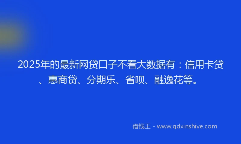 2025年的最新网贷口子不看大数据有：信用卡贷、惠商贷、分期乐、省呗、融逸花等。
