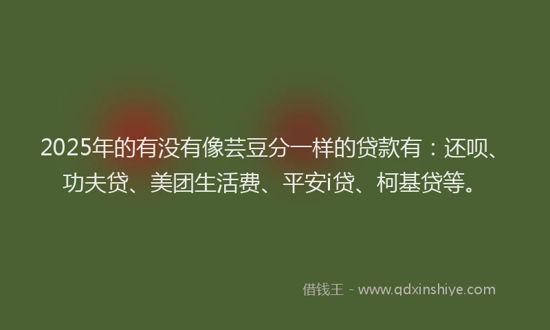 2025年的有没有像芸豆分一样的贷款有：还呗、功夫贷、美团生活费、平安i贷、柯基贷等。